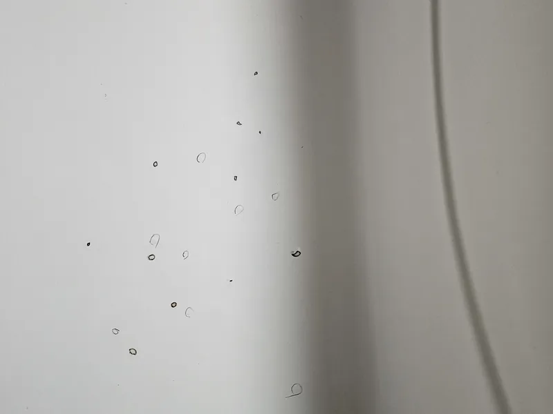 바닥 기포 다발 복원 - 기포 근접 바닥 기포 다발 복원 - 기포 근접